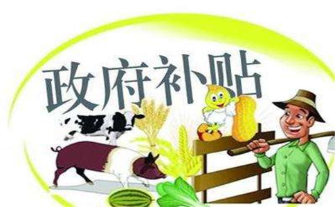 廣州企業(yè)四大補貼是什么?